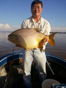 Pacu1